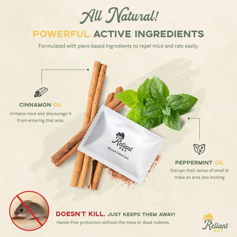 🐭 Mouse Repellent Pouches – Peppermint & Cinnamon Oil Deterrent for Cars, Homes & Garages