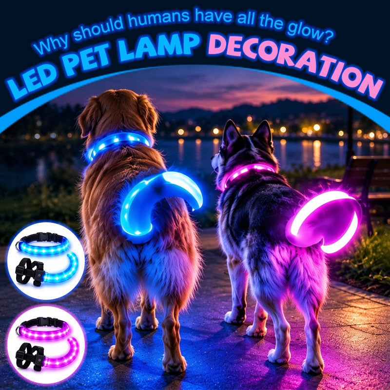 LED Dog Collar and Light-Up Tail Set - 1