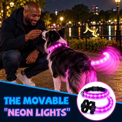LED Dog Collar and Light-Up Tail Set - 2