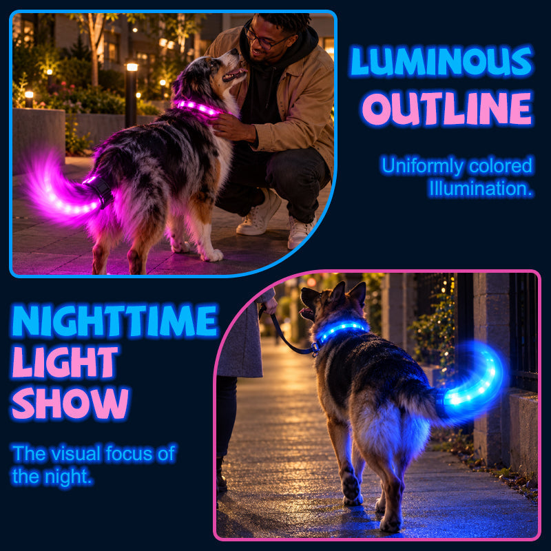 LED Dog Collar and Light-Up Tail Set - 3