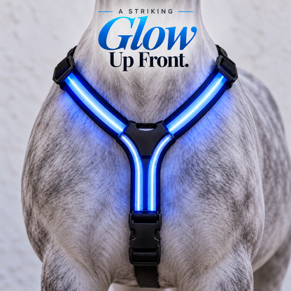 ✨49% OFF🌈🐎 Ride in Color! LED Horse Light Set – Blue, Green & Pink