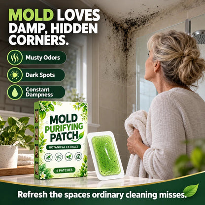🧪 Buy More, Save More! 6-Pack Botanical Mold Purifying Patches – Long-Lasting Protection for Damp Spaces ✨