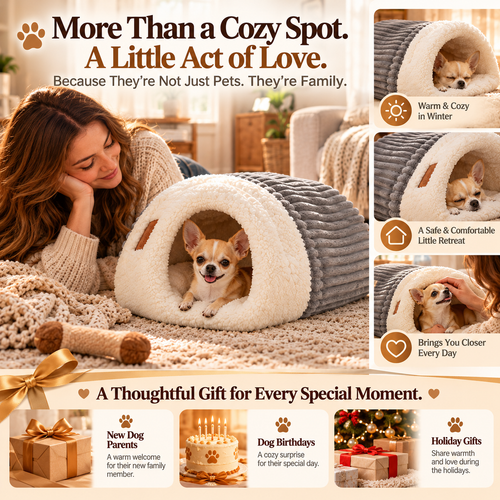 ❤️ More Than a Place to Rest! 🐾 A Little Home Just for Them