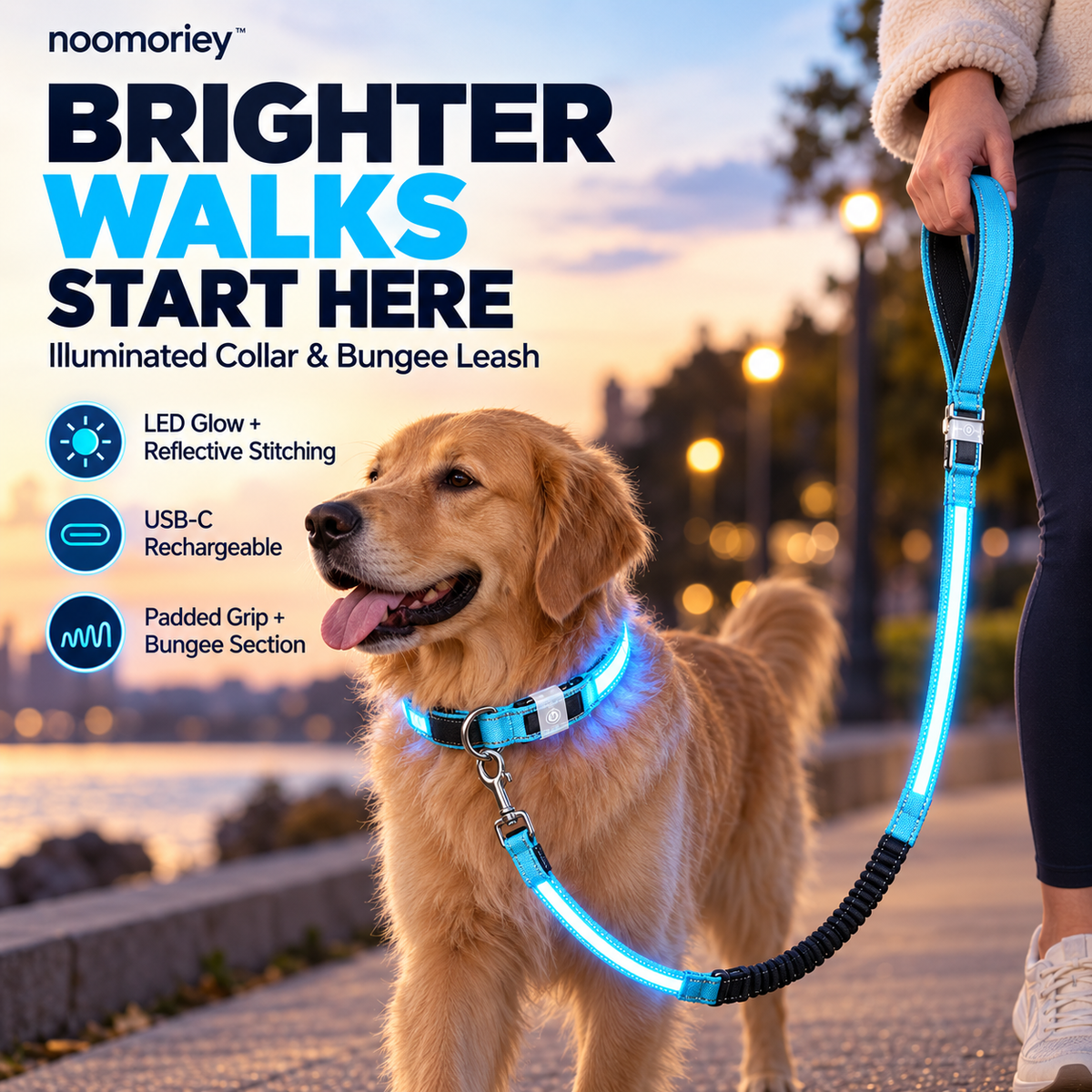 🐾 Rechargeable LED Dog Collar & Bungee Leash Set