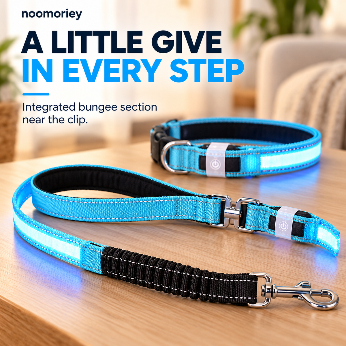 🐾 Rechargeable LED Dog Collar & Bungee Leash Set