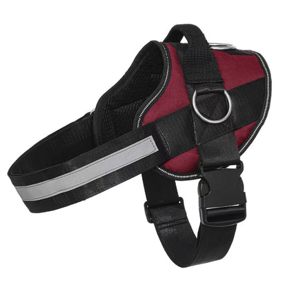 Essential Dog Harness with 3 Leash Clips – Reflective, Adjustable & Padded Vest