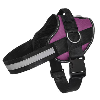 Essential Dog Harness with 3 Leash Clips – Reflective, Adjustable & Padded Vest