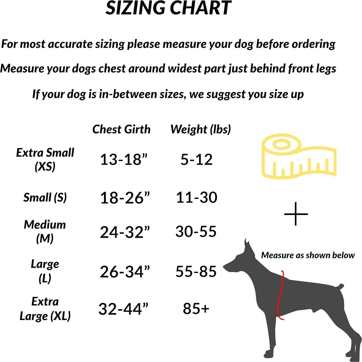 Essential Dog Harness with 3 Leash Clips – Reflective, Adjustable & Padded Vest