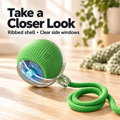 🐱🐶 Interactive Rolling Ball Pet Toy – Teaser Toy for Cats & Dogs 🐾
