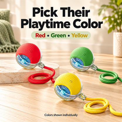 🐱🐶 Interactive Rolling Ball Pet Toy – Teaser Toy for Cats & Dogs 🐾