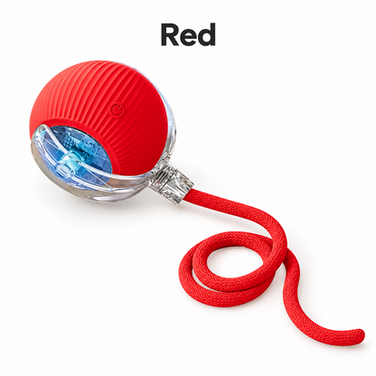🐱🐶 Interactive Rolling Ball Pet Toy – Teaser Toy for Cats & Dogs 🐾