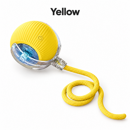 🐱🐶 Interactive Rolling Ball Pet Toy – Teaser Toy for Cats & Dogs 🐾