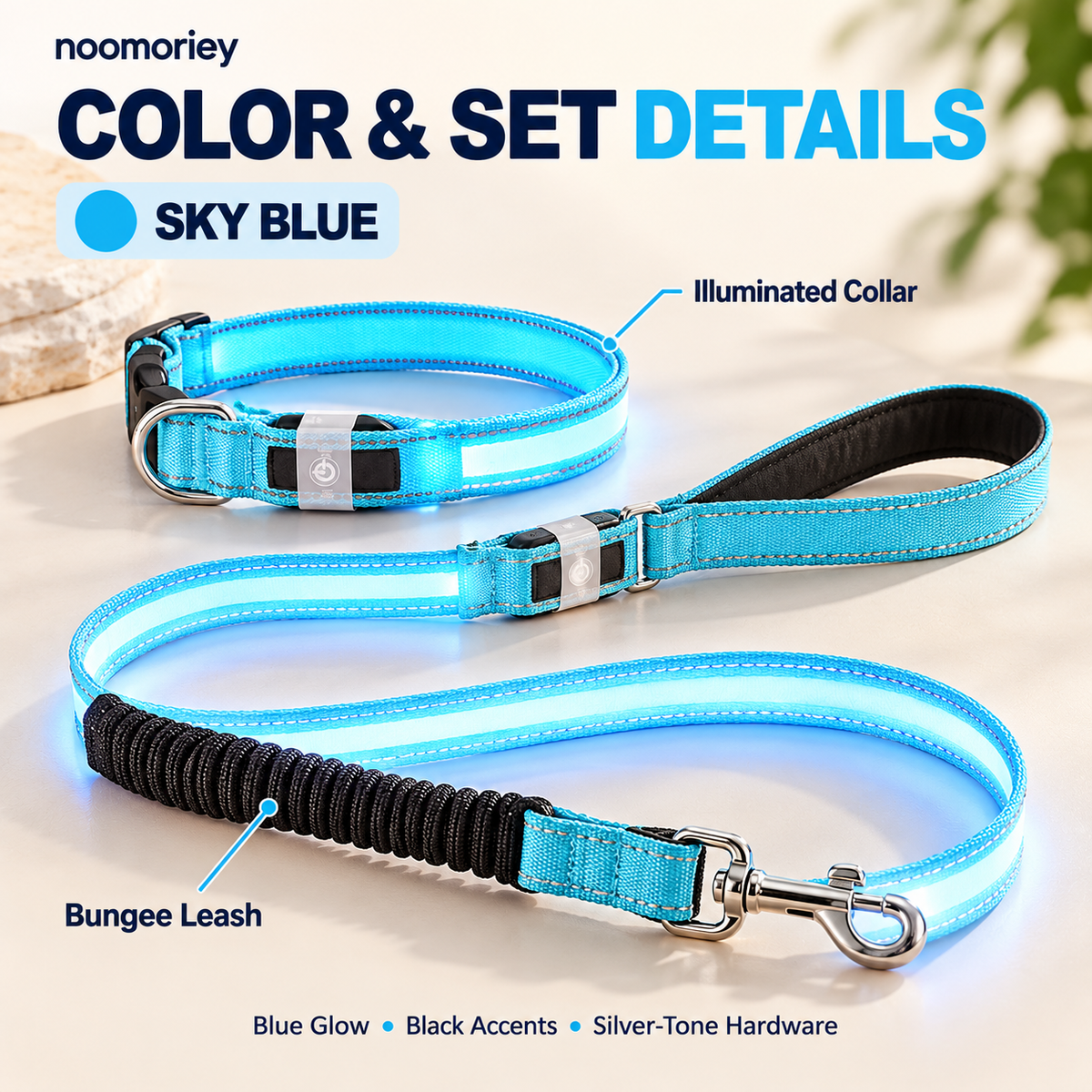 🐾 Rechargeable LED Dog Collar & Bungee Leash Set