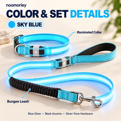 🐾 Rechargeable LED Dog Collar & Bungee Leash Set