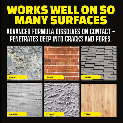 🧽 Industrial Stain Dissolver – Heavy-Duty Spray for Mold, Mildew & Grime 🏠✨