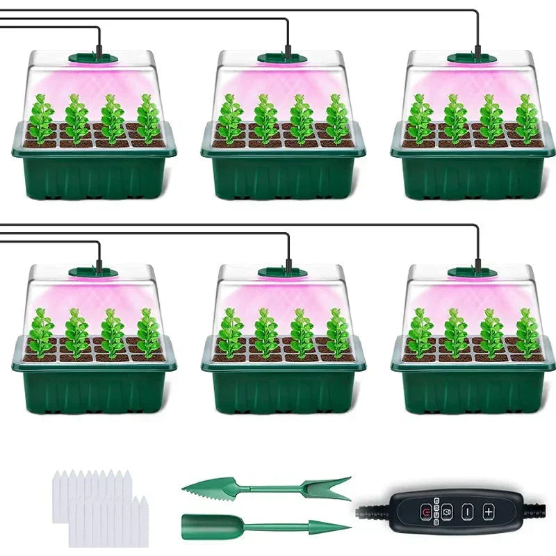 🎉Seed starter trays with grow light