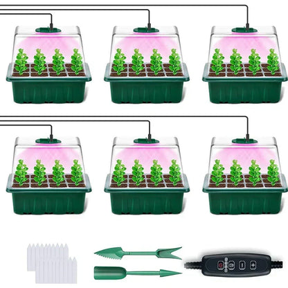 🎉Seed starter trays with grow light