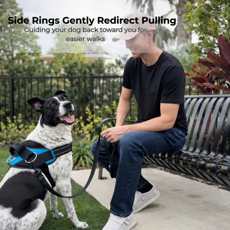 Essential Dog Harness with 3 Leash Clips – Reflective, Adjustable & Padded Vest