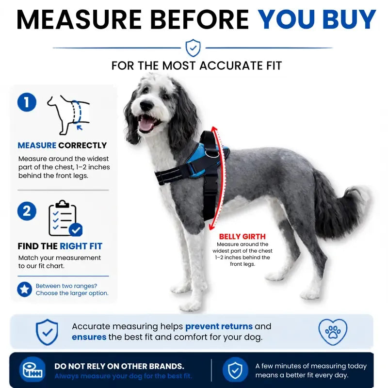Essential Dog Harness with 3 Leash Clips – Reflective, Adjustable & Padded Vest