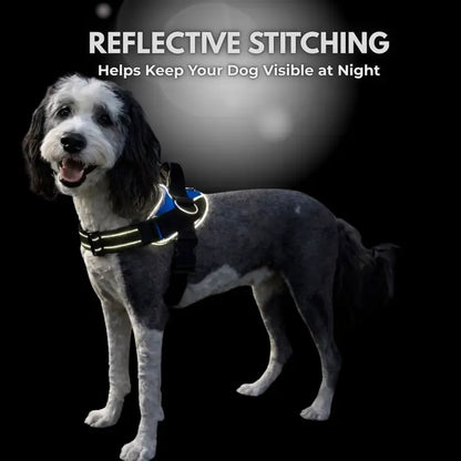 Essential Dog Harness with 3 Leash Clips – Reflective, Adjustable & Padded Vest