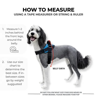 Essential Dog Harness with 3 Leash Clips – Reflective, Adjustable & Padded Vest