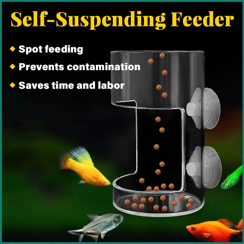 ✨Buy 2 Get 1 Free✨Aquarium Feeding Ring and Tray