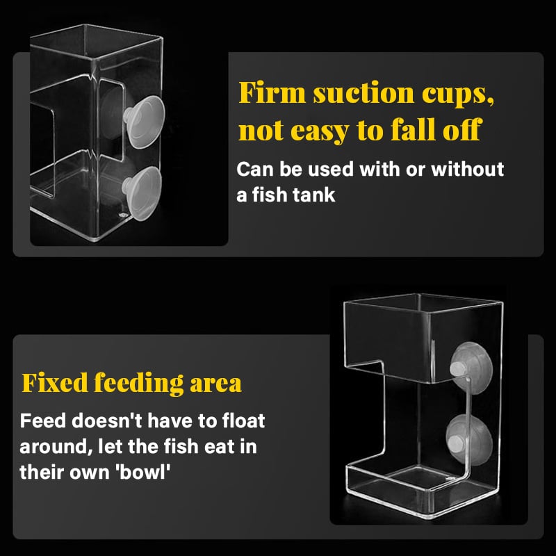 ✨Buy 2 Get 1 Free✨Aquarium Feeding Ring and Tray